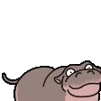 Animated emote